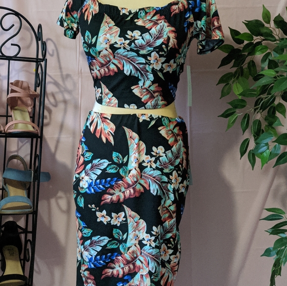 Set - Picture 3 of 3